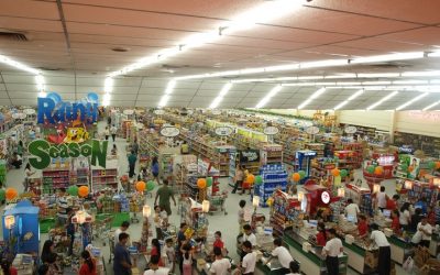 The Drone Shopping Assistants