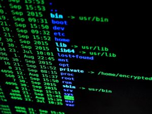 image of info on a computer screen