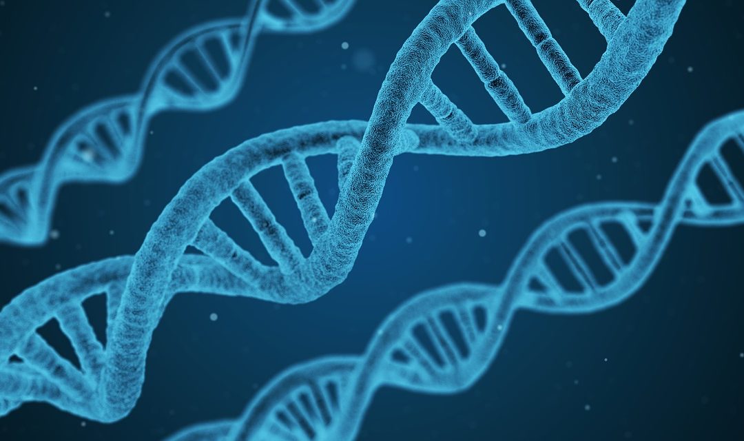Health Benefits of Cloning