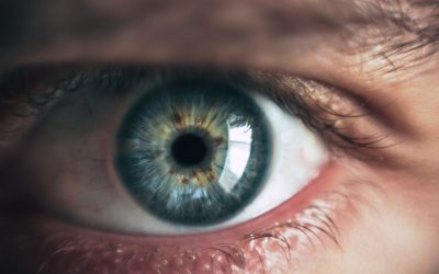 Biometric Identification and Cybersecurity