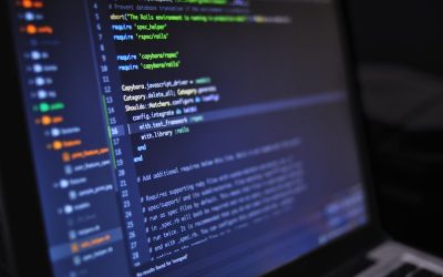 The Most Profitable Software Development Career Path