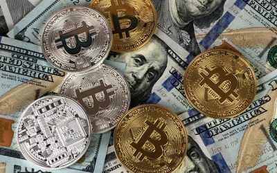 How Can Blockchain Solve the Environmental Crisis?